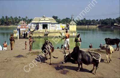 Village temple outside Puri 853430