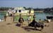 Village temple outside Puri 853430
