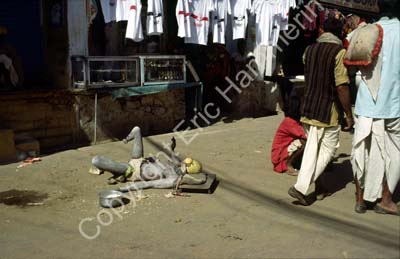 Crippled beggar Pushkar 864326