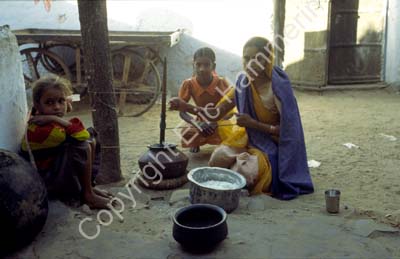 Family life making butter Pushkar 864620