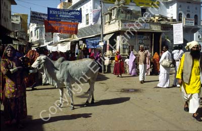 Street scene Pushkar 864310