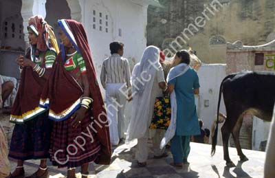 Traditional and modern clothing styles Pushkar 864312