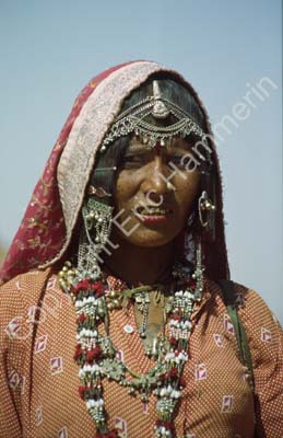 Traditional performer musician Pushkar fair 864410