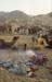 Camel fair Pushkar 864530