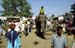 Elephant in street Pushkar 864333