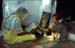 Mother and daughter pryer time Pushkar 864721