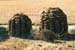 Cow dung cake piles Rajasthan 004741