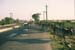 Cows herded in road Haryana 006229