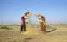 Harvesting in Rajasthan 864226