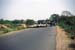 Sheep herded on the road Rajasthan 004423
