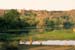 Small lake in Sariska Rajasthan 004505
