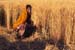 Woman harvesting wheat Rajasthan 004821