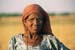 Woman in field Rajasthan 004817