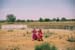 Women passing over field Rajasthan 006119