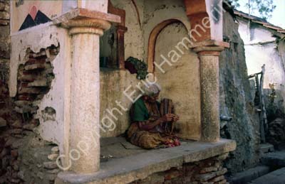 Tanjore 854427