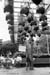 SIN990205BW