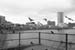 SIN990235BW