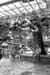 SIN990242BW