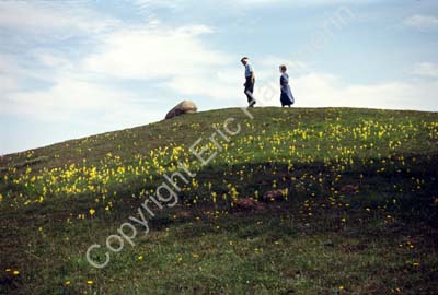 Brösarps backar människor S982105