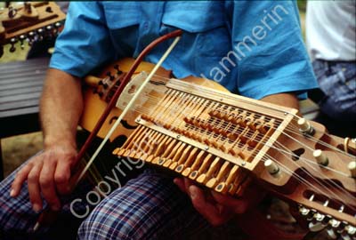 Nyckelharpa folkmusik S12C71