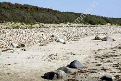 Litorina-strand Viken S21D42