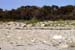 Litorina-strand Viken S21C42