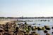 Viken strand S21A42