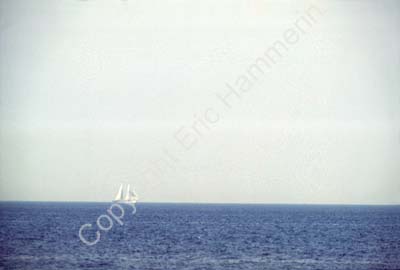 Segelfartyg SO1B64
