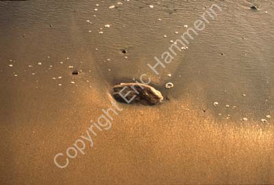 Strand sand sten SO2C64