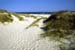 Sandhammaren SO1D42