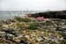 Vik stranden S980811