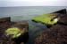Vik stranden S980819