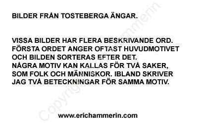 AA01text kopiera
