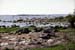 Tosteberga stranden S11A34