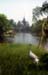 Sarus crane pond temple softed 8724912