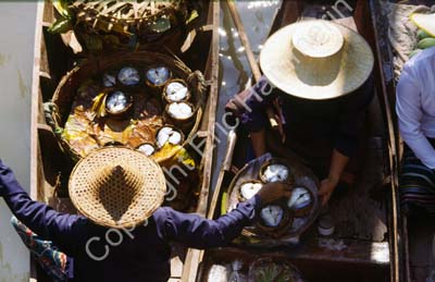 Floating market at Damnoen Saduak 8725128
