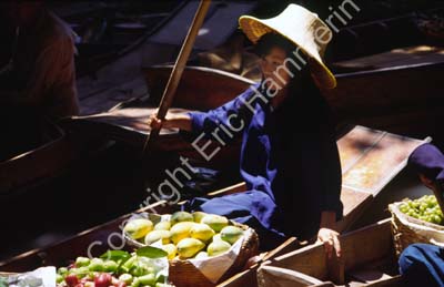 Floating market at Damnoen Saduak 8725502