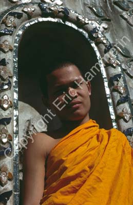Wat Arun monk 858727