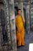Wat Arun monk with headphone radio 850516