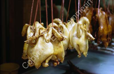 Chicken butchered on display 8724534