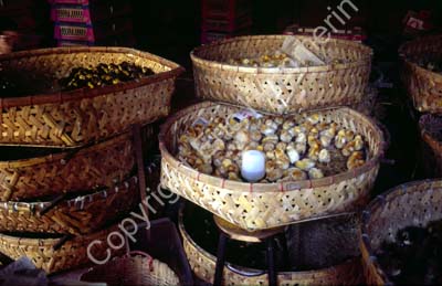 Chicken in basket 850801