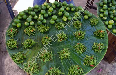 Chili and lime 8724222