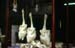 Chicken butchered on display 8724605