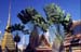 Fan palm Wat Phra Keo 8710627