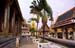Fan palm in temple yard 927429