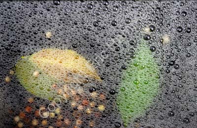 Bubbles on water 8720732
