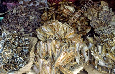 Dried fish market 8710426
