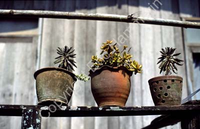 Pots on shelf 8710429