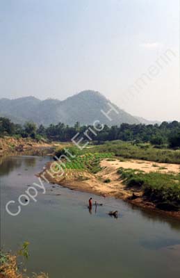 River scene 8710431