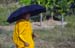 Monk with umbrella 869326